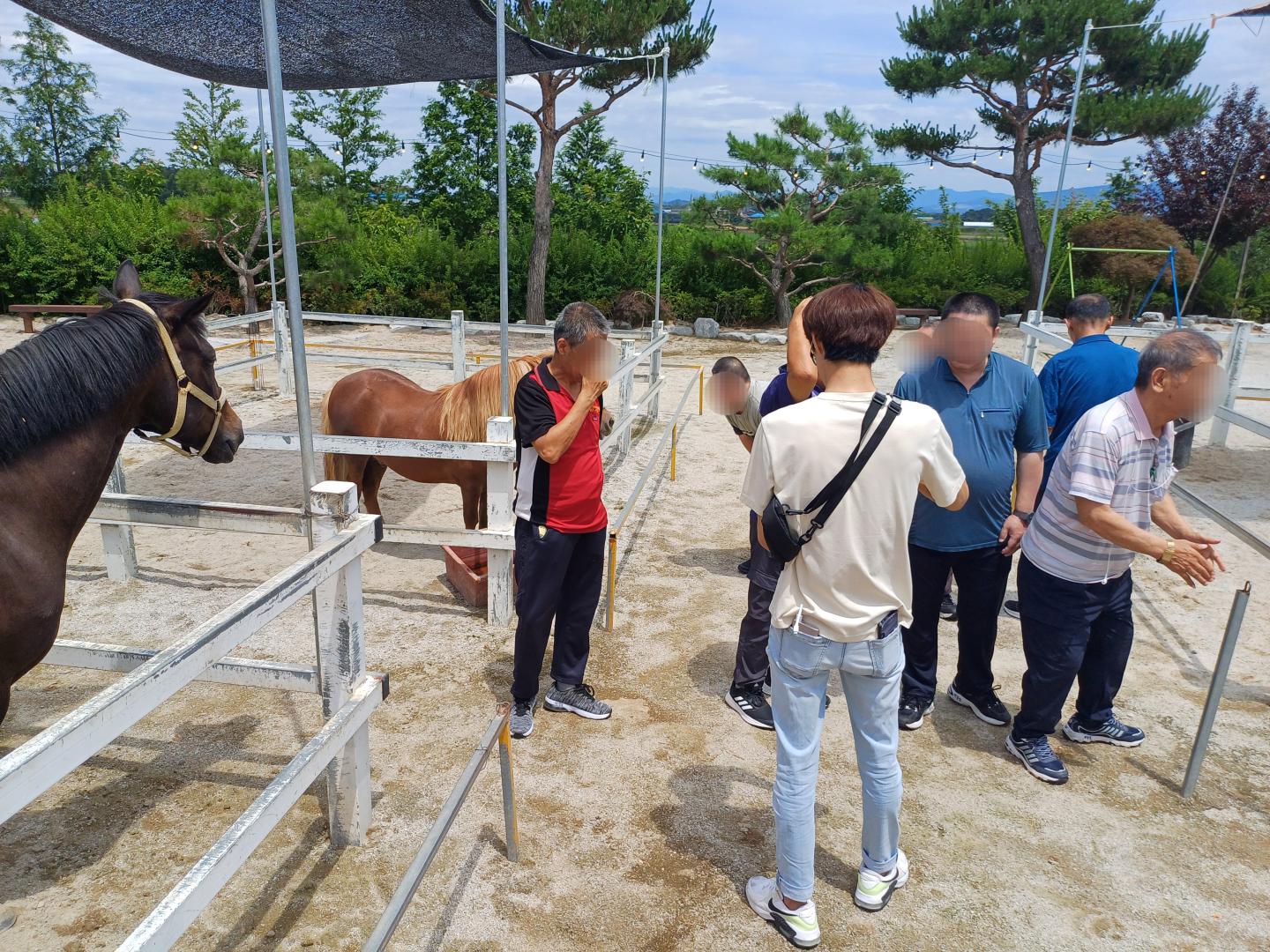 KakaoTalk_20250619_155247453_02.jpg