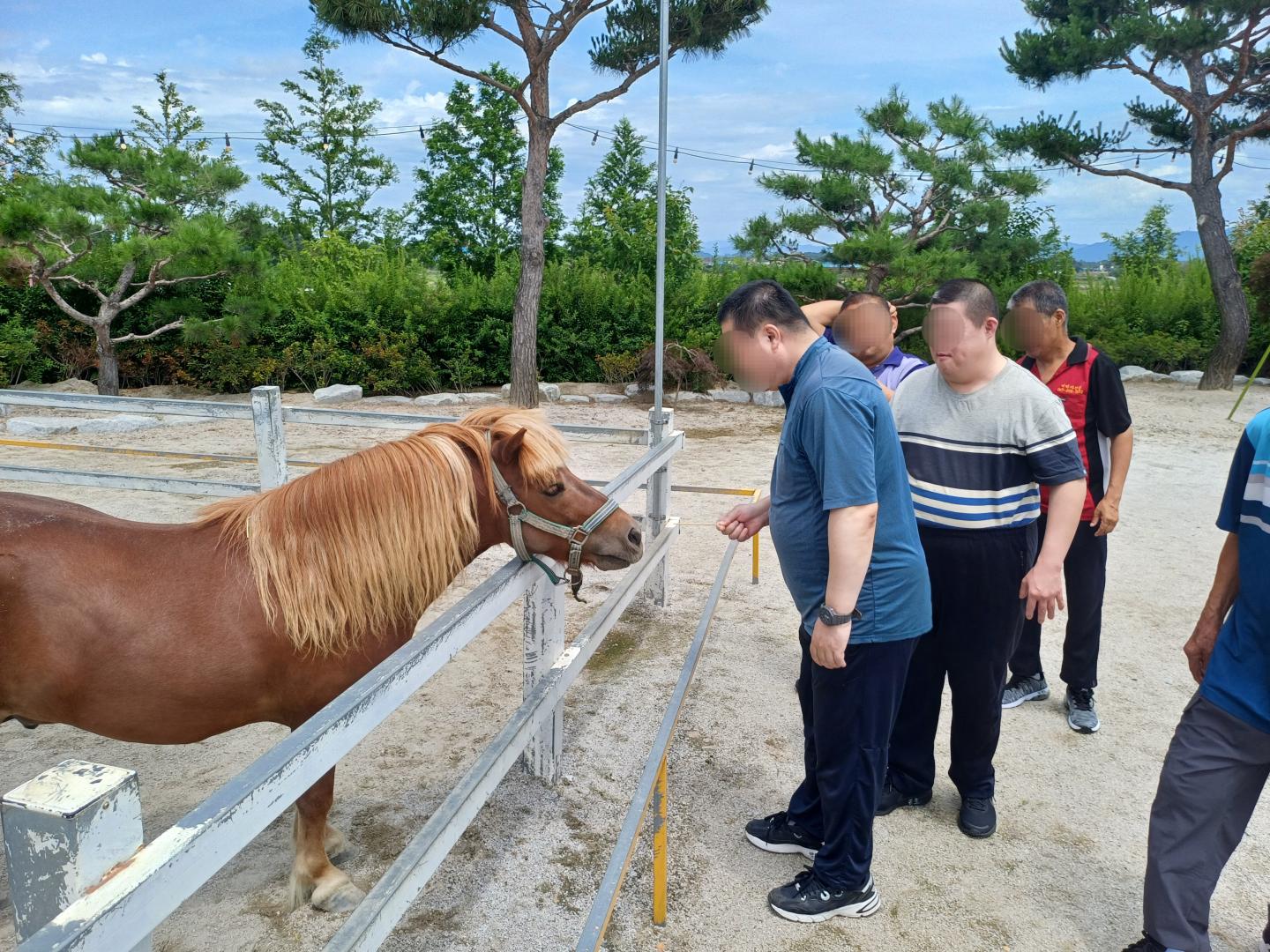 KakaoTalk_20250619_155247453_01.jpg